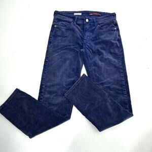 Anthro Pilcro & The Letterpress Slim Boyfriend Crop Blue Corduroy Pants 25